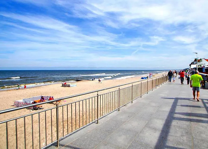 Spacious Homes With Terraces, *